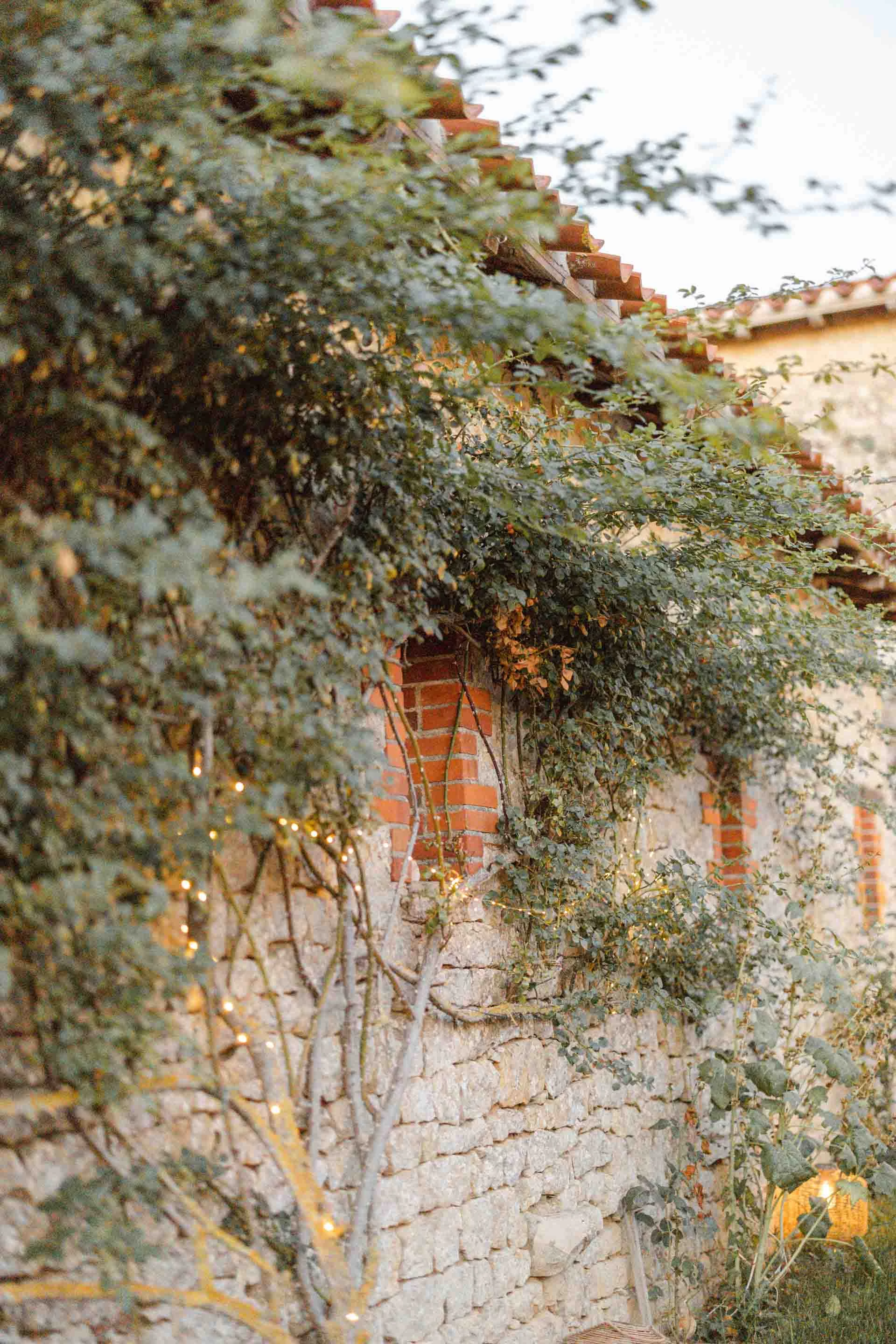 mur de pierre vigne gris rose